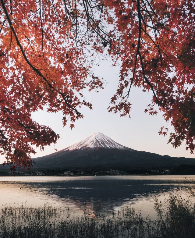 Vẻ đẹp mộng mơ của mùa thu Nhật Bản, xem xong chỉ muốn xách vali lên đường - Ảnh 51.