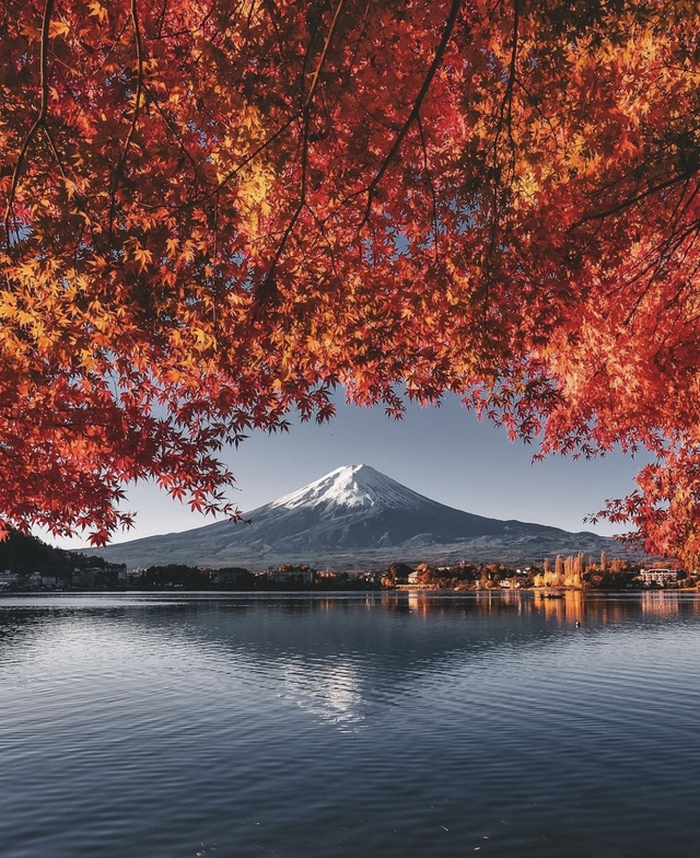 Vẻ đẹp mộng mơ của mùa thu Nhật Bản, xem xong chỉ muốn xách vali lên đường - Ảnh 50.