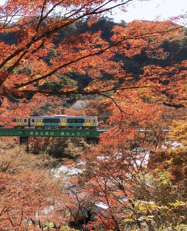 Vẻ đẹp mộng mơ của mùa thu Nhật Bản, xem xong chỉ muốn xách vali lên đường - Ảnh 48.