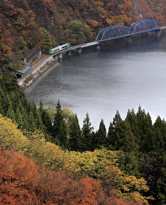 Vẻ đẹp mộng mơ của mùa thu Nhật Bản, xem xong chỉ muốn xách vali lên đường - Ảnh 47.