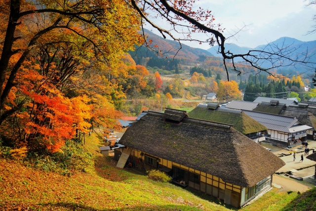 Vẻ đẹp mộng mơ của mùa thu Nhật Bản, xem xong chỉ muốn xách vali lên đường - Ảnh 42.