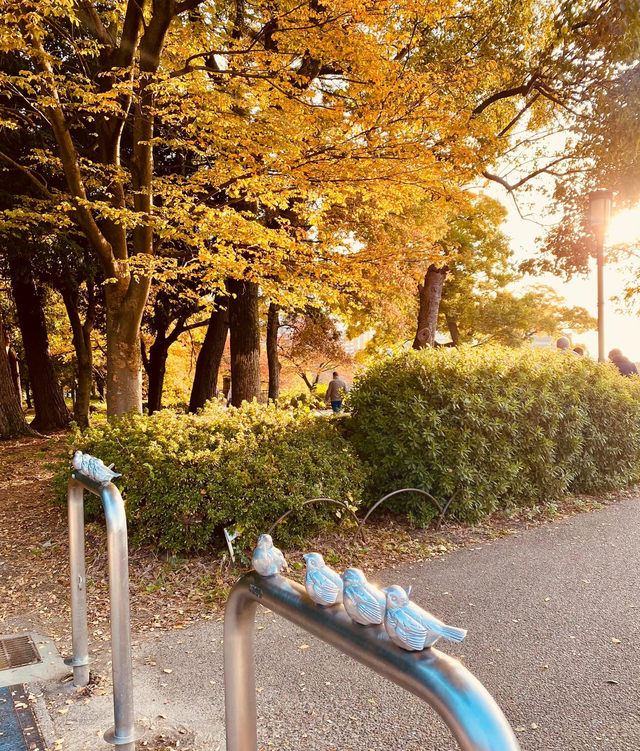 Vẻ đẹp mộng mơ của mùa thu Nhật Bản, xem xong chỉ muốn xách vali lên đường - Ảnh 59.