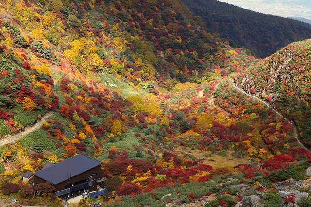 Vẻ đẹp mộng mơ của mùa thu Nhật Bản, xem xong chỉ muốn xách vali lên đường - Ảnh 41.