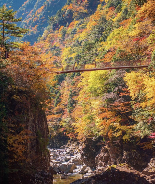 Vẻ đẹp mộng mơ của mùa thu Nhật Bản, xem xong chỉ muốn xách vali lên đường - Ảnh 36.