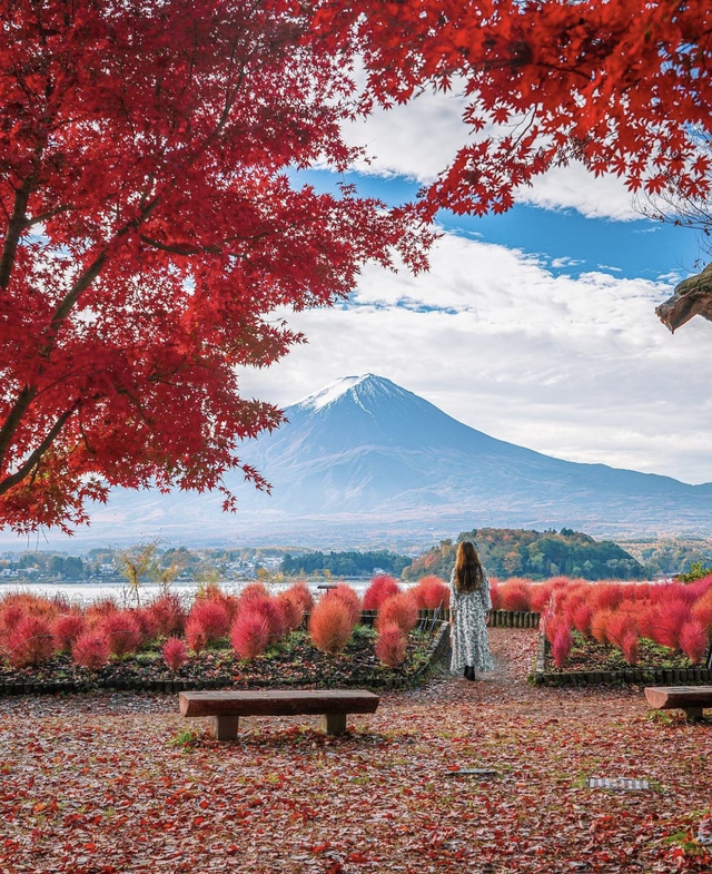 Vẻ đẹp mộng mơ của mùa thu Nhật Bản, xem xong chỉ muốn xách vali lên đường - Ảnh 57.