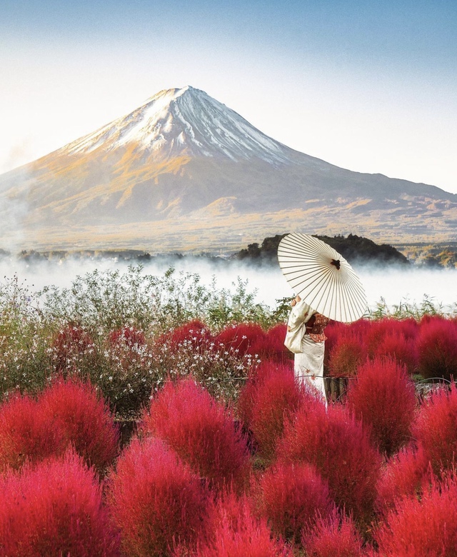 Vẻ đẹp mộng mơ của mùa thu Nhật Bản, xem xong chỉ muốn xách vali lên đường - Ảnh 56.