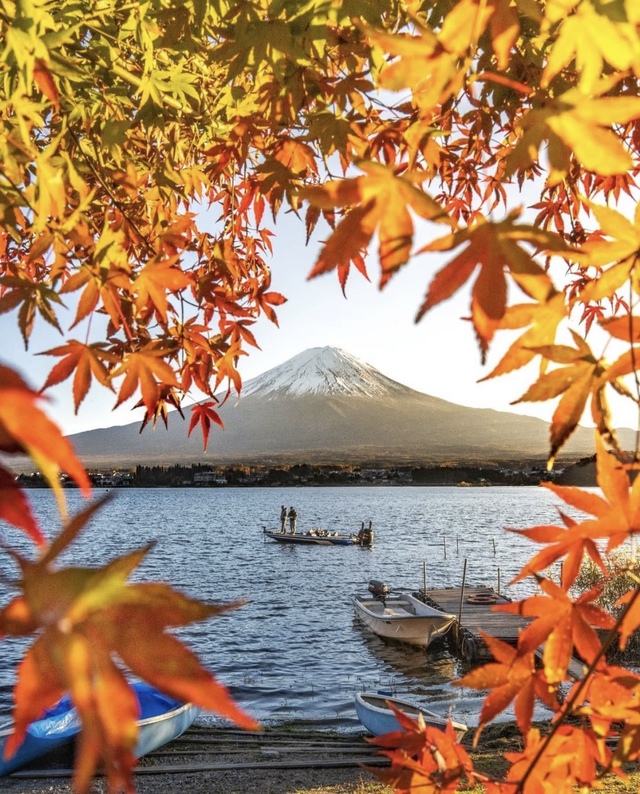 Vẻ đẹp mộng mơ của mùa thu Nhật Bản, xem xong chỉ muốn xách vali lên đường - Ảnh 54.