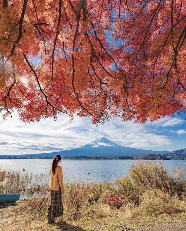 Vẻ đẹp mộng mơ của mùa thu Nhật Bản, xem xong chỉ muốn xách vali lên đường - Ảnh 53.