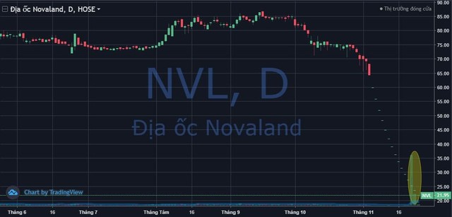 Hơn 128 triệu cổ phiếu phiên khớp lệnh kỷ lục về tài khoản, “biệt đội giải cứu” Novaland (NVL) tạm lỗ 14% - Ảnh 1.