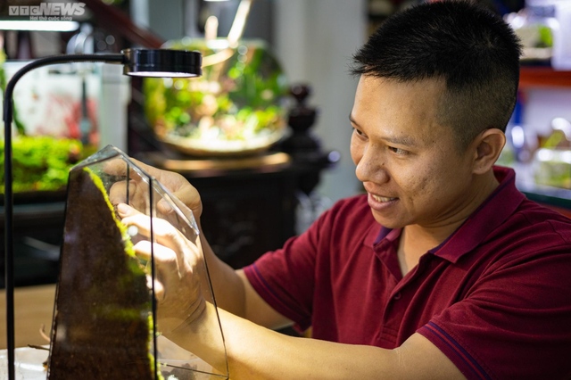 The 9X boy earns hundreds of millions a month from playing with green glass cages - Photo 5.