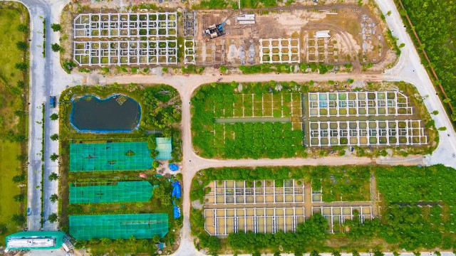 Mục sở thị những dự án kéo dài gần 20 năm ở Mê Linh: Đi từ chu kỳ sốt nóng, đóng băng đến phục hồi trở lại - Ảnh 8.