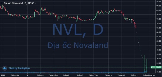 Thêm hơn 2.000 tỷ đồng vào giải cứu, cổ phiếu Novaland (NVL) chấm dứt chuỗi 17 phiên giảm sàn liên tiếp - Ảnh 1.