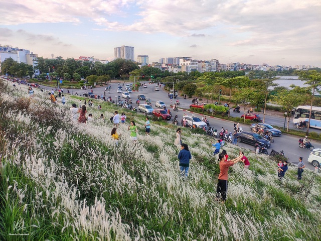 Ra đê Long Biên chụp ảnh giữa trắng ngàn cỏ lau - Ảnh 4.