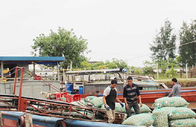 Nam Định: Đưa khoa học và công nghệ để phát triển kinh tế biển - Ảnh 3.