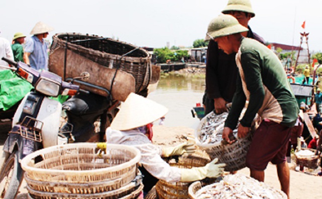 Nam Định: Đưa khoa học và công nghệ để phát triển kinh tế biển - Ảnh 1.