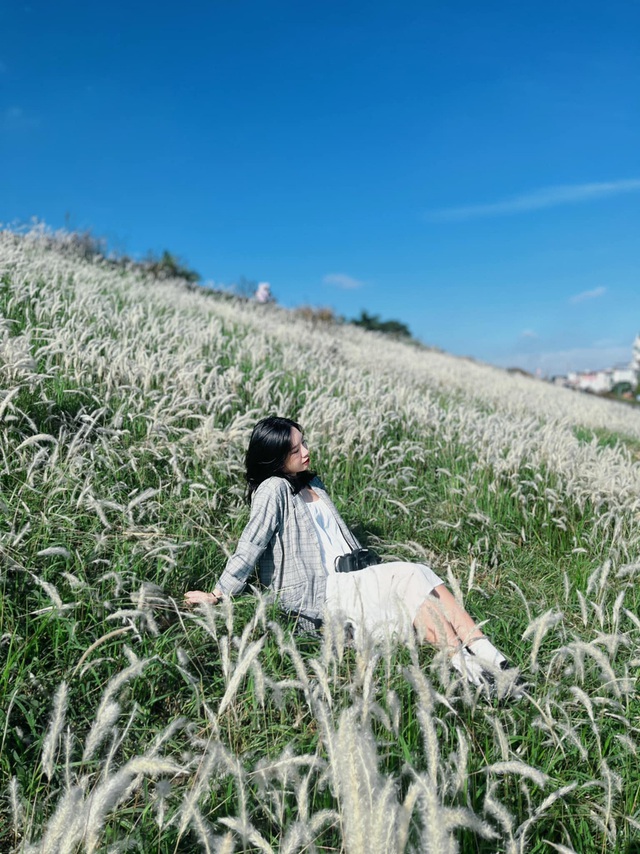 Going to Long Bien dike to take pictures in the middle of a thousand reed grass - Photo 1.