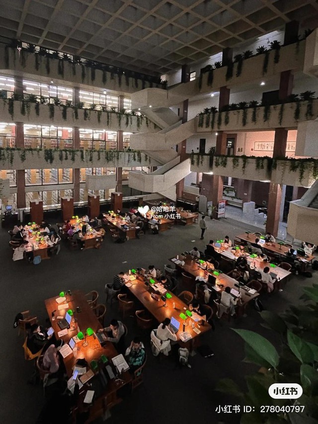 6h thư viện vẫn sáng đèn, Harvard châu Á có gì mà sinh viên phải học xuyên đêm? - Ảnh 1.