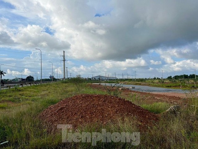 Doanh nghiệp ngang nhiên san lấp đất lúa để làm dự án bất động sản - Ảnh 2.