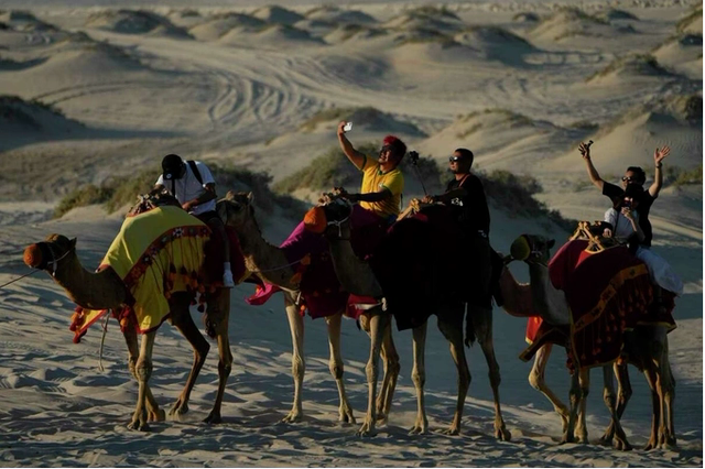 Du lịch Qatar bội thu mùa World Cup: Đến lạc đà cũng còng lưng làm thêm giờ vì khách quá đông - Ảnh 1.