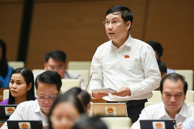 Đại biểu Quốc hội chất vấn việc chậm xử lý vụ bà Nguyễn Phương Hằng livestream - Ảnh 3.