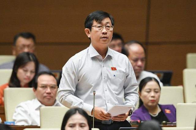 Đại biểu Quốc hội chất vấn việc chậm xử lý vụ bà Nguyễn Phương Hằng livestream - Ảnh 1.