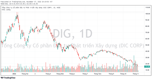 Tiếp tục có thêm công ty chứng khoán call margin cổ phiếu DIG với loạt cổ đông nội bộ DIC Corp - Ảnh 1.