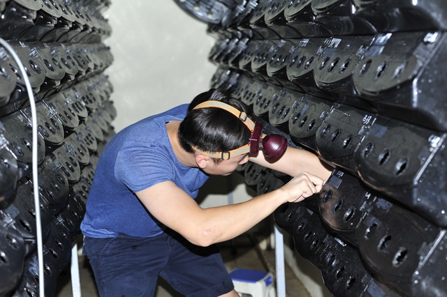 Người đàn ông Ninh Bình táo bạo đầu tư hàng trăm triệu để nuôi cua biển... trong hộp nhựa - Ảnh 1.