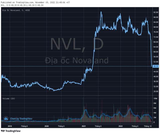 Con trai Chủ tịch Bùi Thành Nhơn vừa mua vào thành công 2 triệu cổ phiếu Novaland (NVL) - Ảnh 1.