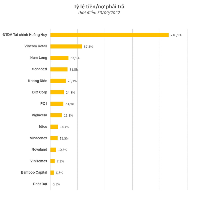 Dòng tiền khó khăn, các ông lớn BĐS Novaland, VinHomes, Khang Điền, Phát Đạt... tích trữ tiền mặt như thế nào? - Ảnh 2.
