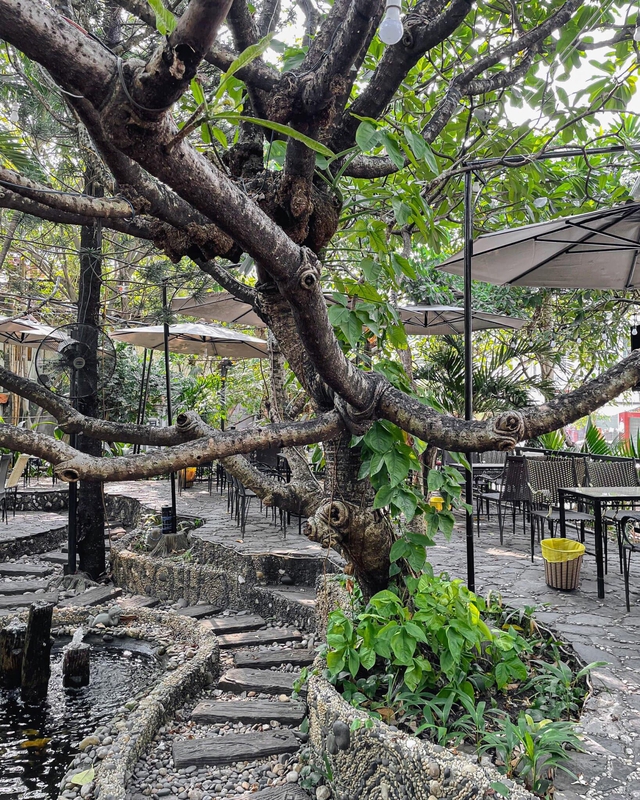 4 quán ẩm thực đường phố xứ chùa Vàng tại TP.HCM cho dân mê đồ ăn Thái - Ảnh 22.