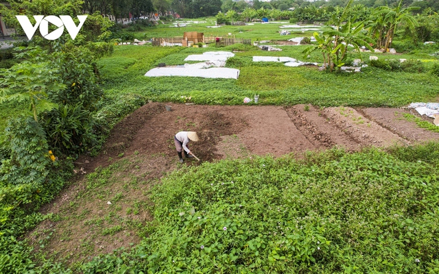 Cận cảnh dự án nghìn tỷ bỏ hoang được người dân tận dụng trồng rau và đổ rác thải - Ảnh 7.