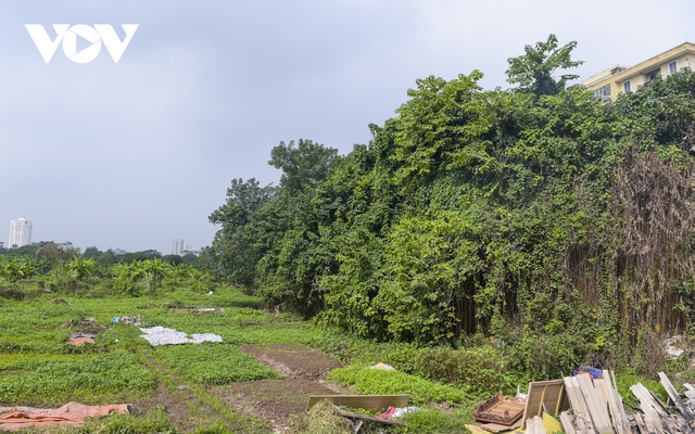 Cận cảnh dự án nghìn tỷ bỏ hoang được người dân tận dụng trồng rau và đổ rác thải - Ảnh 5.
