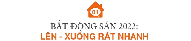 Góc nhìn chuyên gia: Một năm “bất động”, “ bất ổn” của thị trường bất động sản - Ảnh 1.