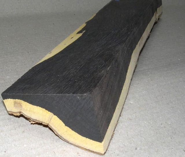  Gỗ đen châu Phi, một trong những loại gỗ đắt đỏ nhất trên thế giới - Ảnh 4.