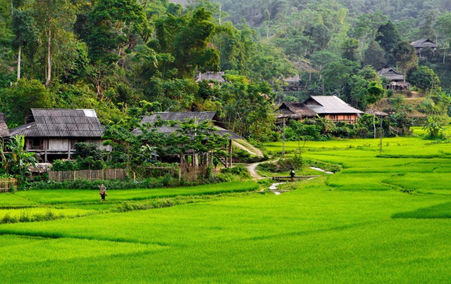 Những suối nước nóng tự nhiên nơi rẻo cao phía Bắc cho người muốn đi du lịch mùa đông - Ảnh 19.