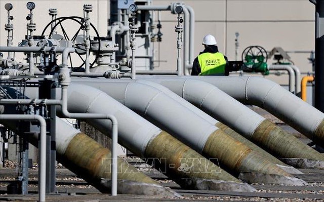 Đường ống dẫn khí đốt Dòng chảy phương Bắc 1 tại Lubmin, Đức, ngày 8/3/2022. Ảnh: Reuters/TTXVN