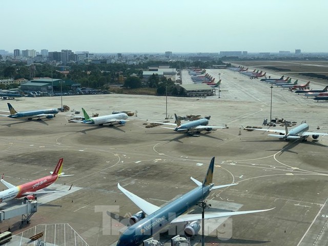 Sân bay Tân Sơn Nhất quá tải ban ngày, tăng chuyến đêm cứu khách dịp Tết - Ảnh 1.