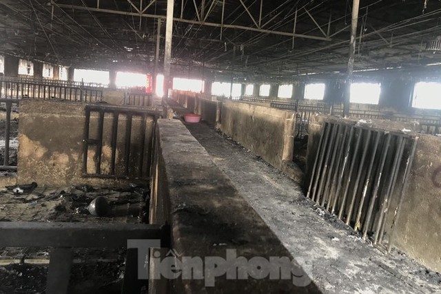 Cảnh tan hoang ở trang trại lợn hơn nghìn con bị lửa thiêu - Ảnh 7.