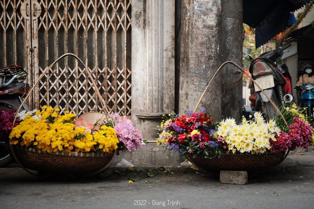Phố phường Hà Nội rực rỡ sắc màu với những gánh hàng hoa - Ảnh 5.