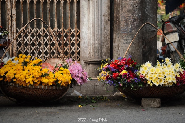 Phố phường Hà Nội rực rỡ sắc màu với những gánh hàng hoa - Ảnh 3.