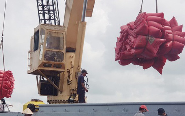 Công nhân đưa gạo lên tàu xuất khẩu tại cảng Mỹ Thới, thành phố Long Xuyên, An Giang - Ảnh: BỬU ĐẤU