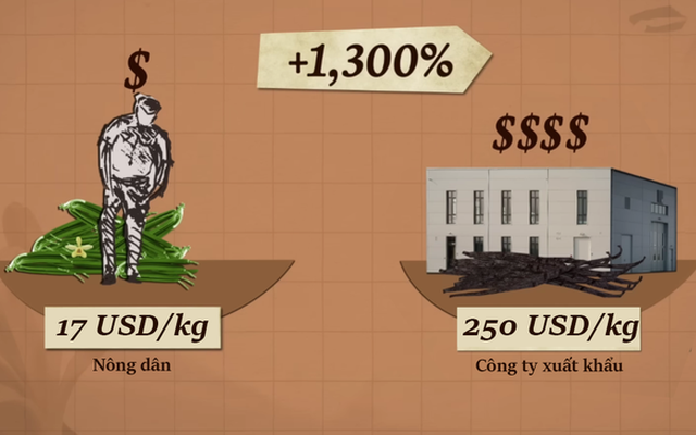Vì sao Madagascar vẫn nghèo dù đi đầu về xuất khẩu vani - hương liệu ‘vàng xanh’ đắt hơn bạc?