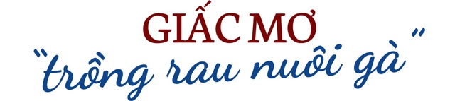 Vỡ mộng bỏ phố lên rừng tàn giấc mơ Căn nhà ngoại ô - Ảnh 1.