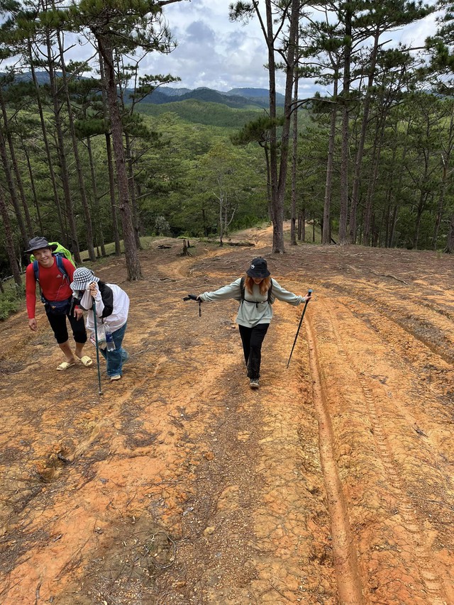 Kết thúc năm cũ, người người đổ xô đi trekking tại những cột mốc hùng vĩ từ miền Bắc đến miền Trung - Ảnh 5.