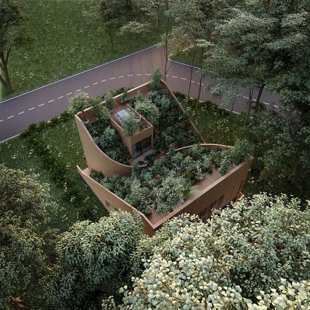 Vườn thảo mộc độc đáo trên mái nhà của đôi vợ chồng cao niên - Ảnh 3.