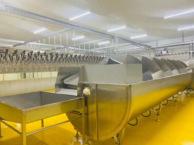 Nhà máy chế biến gà Marathon của bầu Đức đi vào hoạt động, công suất 5.000-7.000 con/ngày - Ảnh 3.