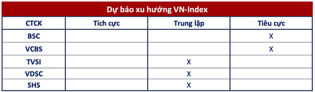 Góc nhìn CTCK: Tiếp tục quán tính giảm, VN-Index có thể xuống vùng 980 điểm - Ảnh 1.