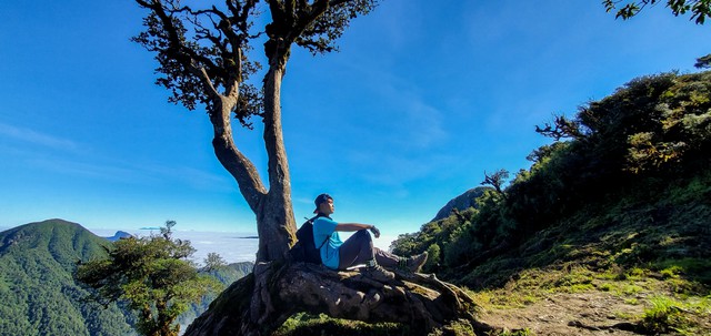 Kết thúc năm cũ, người người đổ xô đi trekking tại những cột mốc hùng vĩ từ miền Bắc đến miền Trung - Ảnh 19.