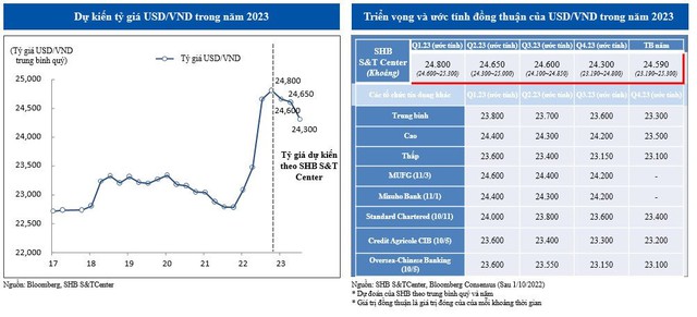 Shinhan Bank: NHNN sẽ thận trọng hơn khi bán ngoại tệ, có thể lựa chọn tăng lãi suất để ghìm tỷ giá - Ảnh 2.