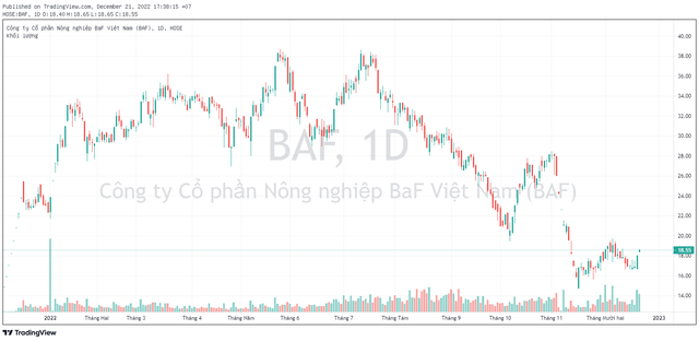 Công ty của Chủ tịch Trương Sỹ Bá đăng ký mua gần 5 triệu cổ phiếu BAF, thành viên HĐQT lại muốn bán ra - Ảnh 1.
